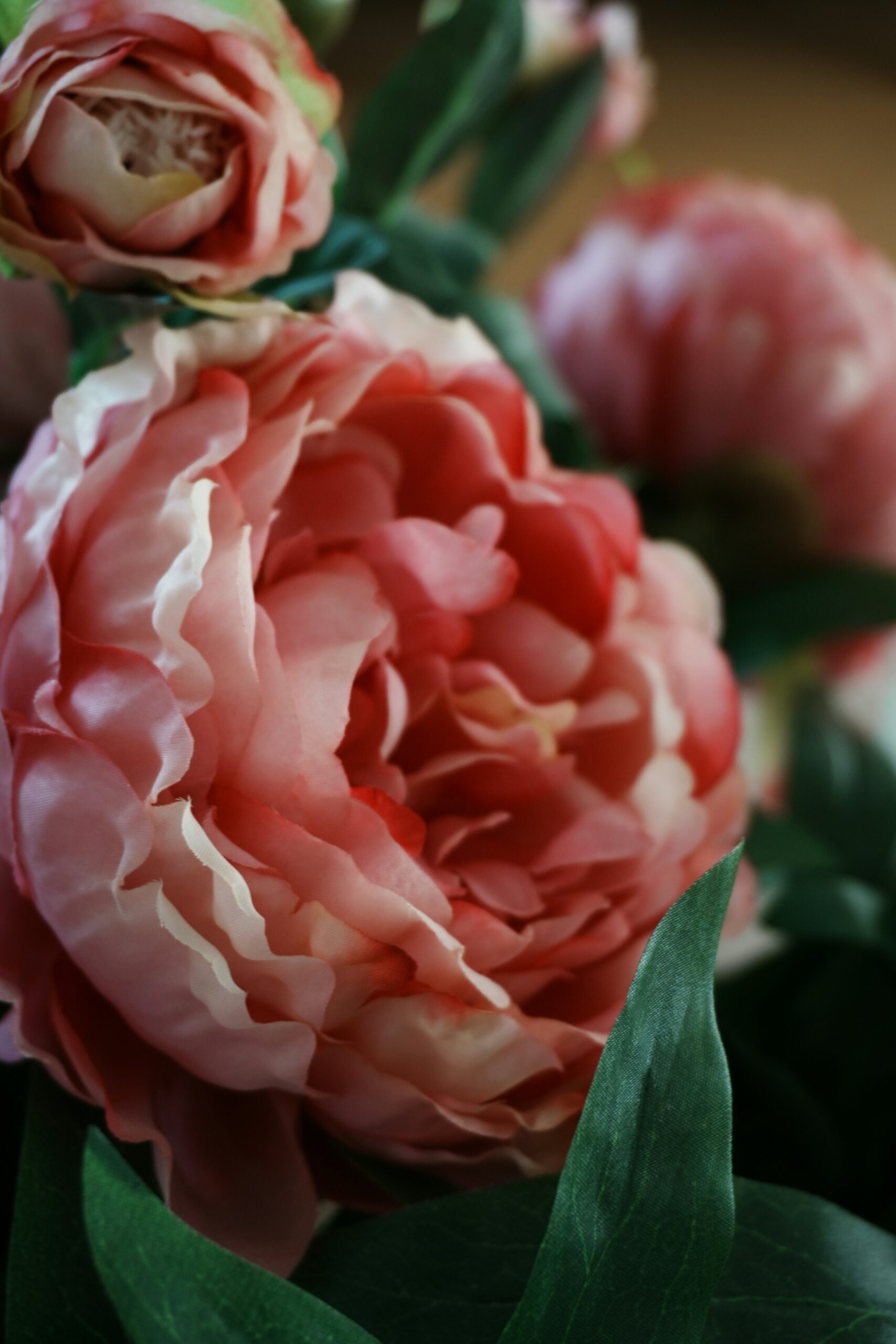 牡丹：奢華花卉設計的核心 締造無與倫比的浪漫與繁榮