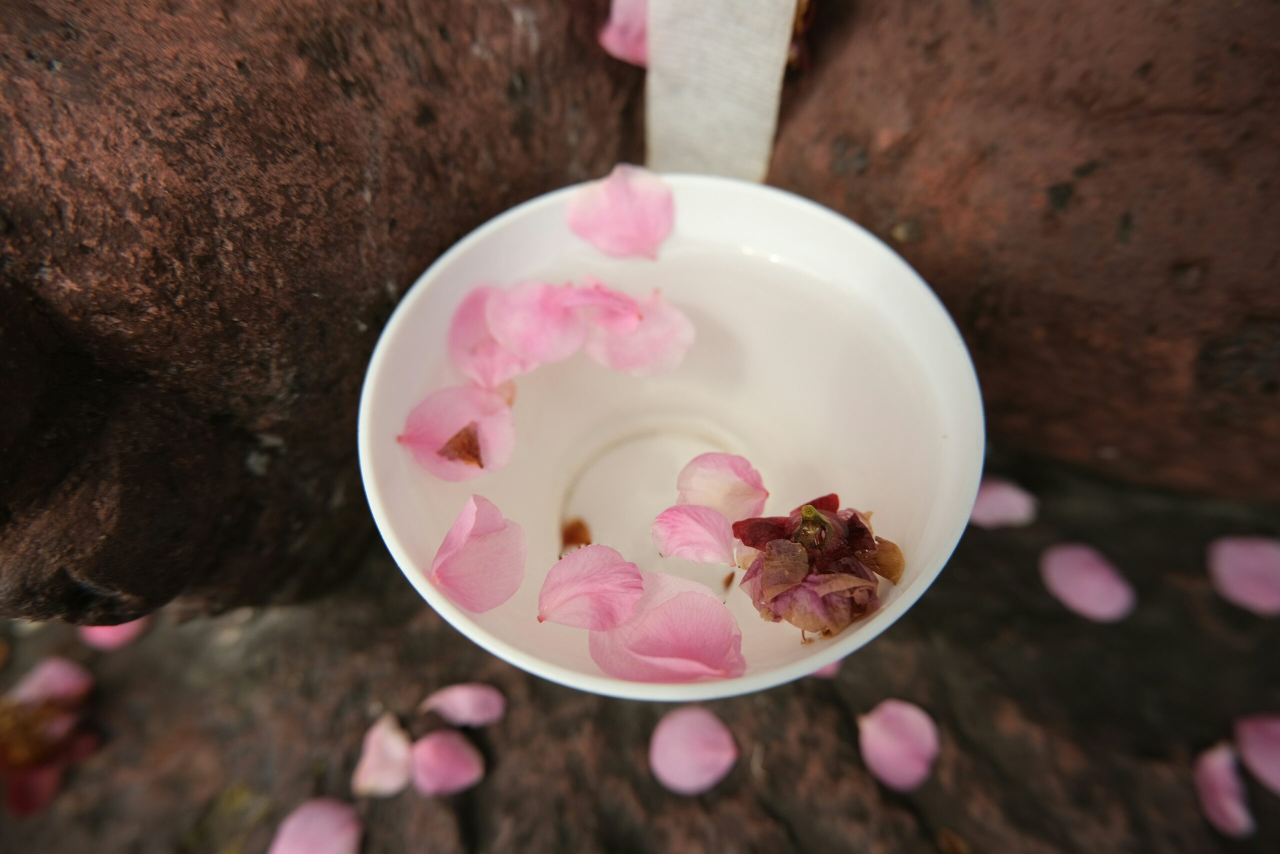Global Tea Artisans Preserve Terroir Through Delicate Flower Infusions